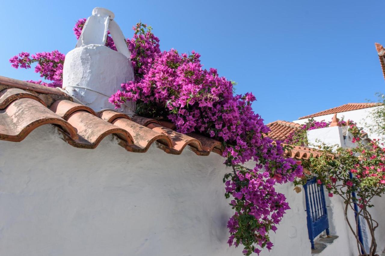 Villea Seaview Apartments Skopelos Town Exterior photo